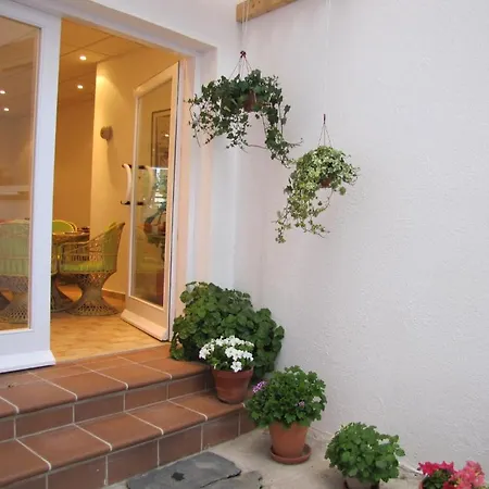 ノウ エストレーリョス