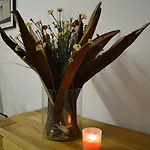 Nou Estrelles 2* Cadaqués