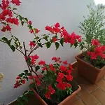 Nou Estrelles